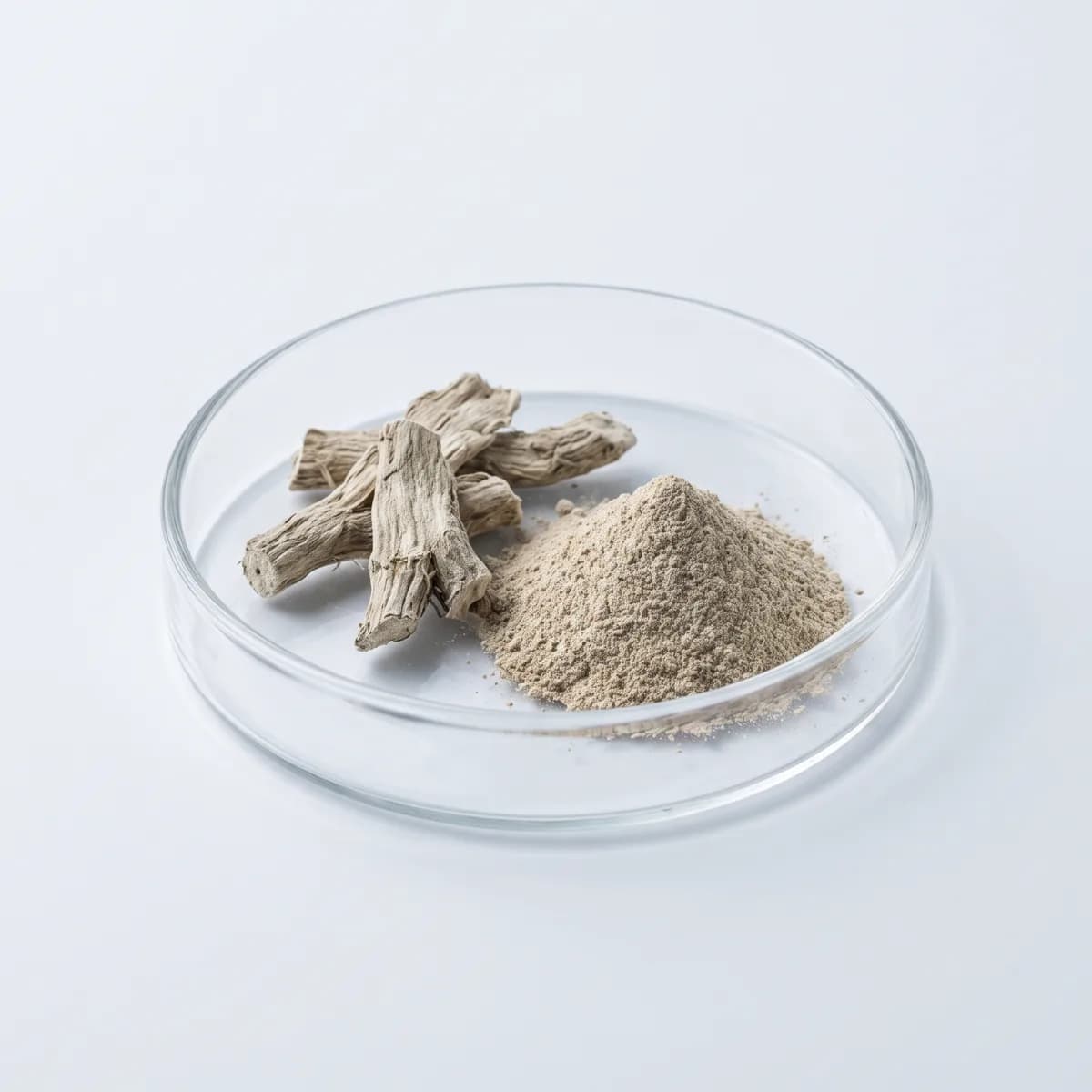 Kava Root Extract (Piper methysticum)