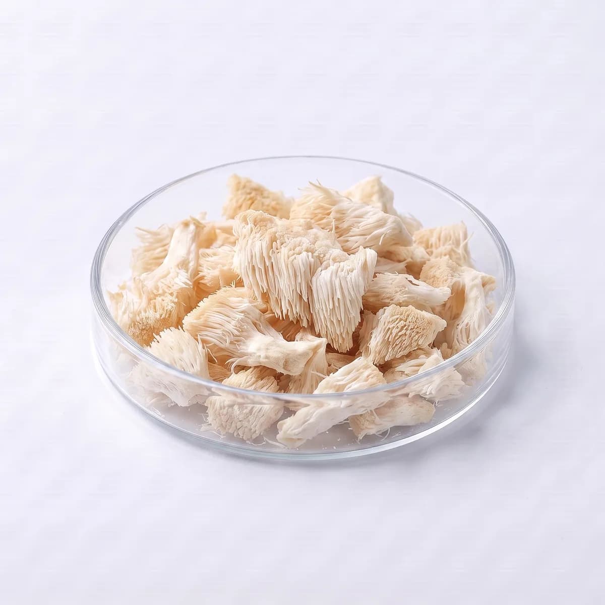 Lion's Mane 10:1 Extract