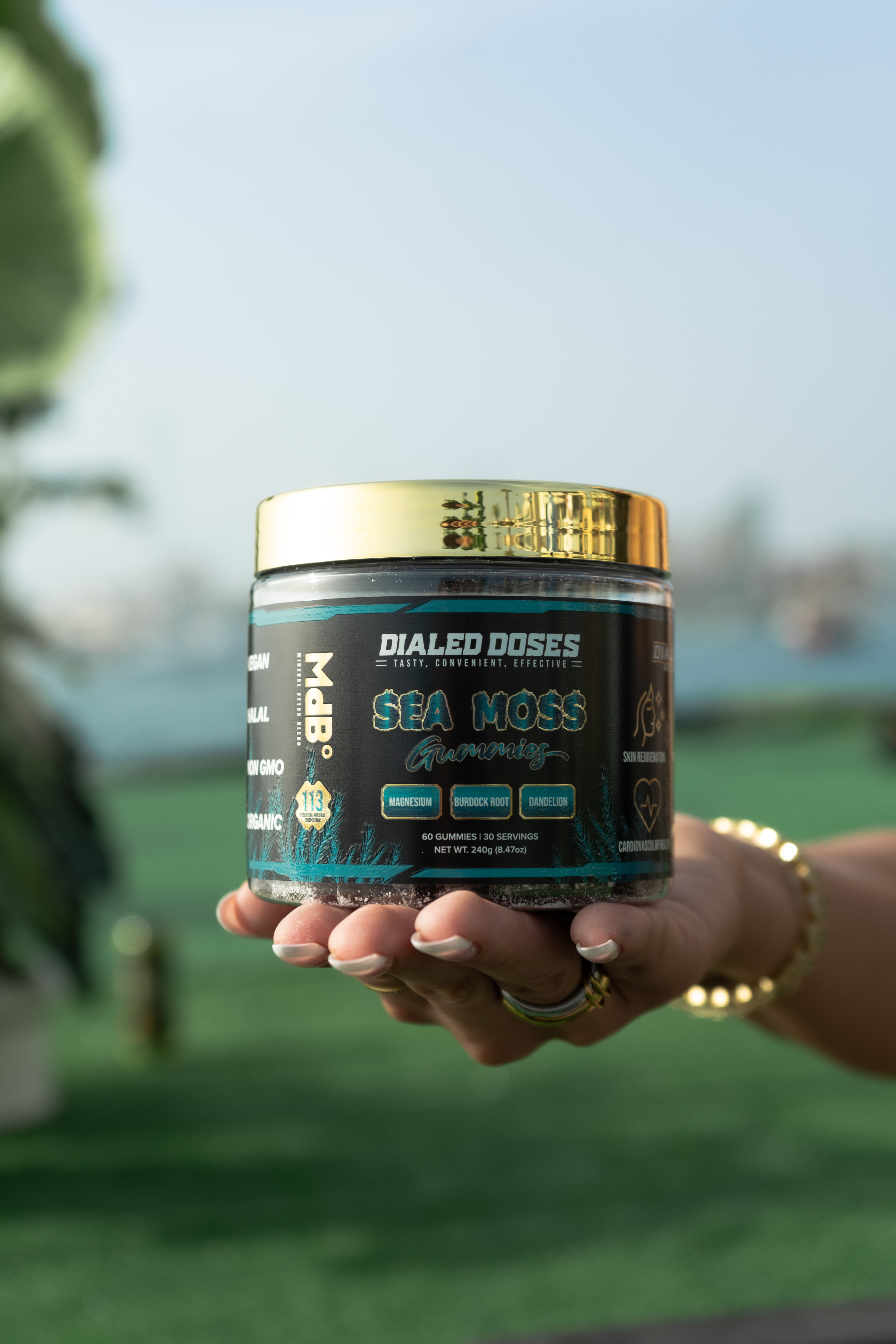 Sea Moss Gummies