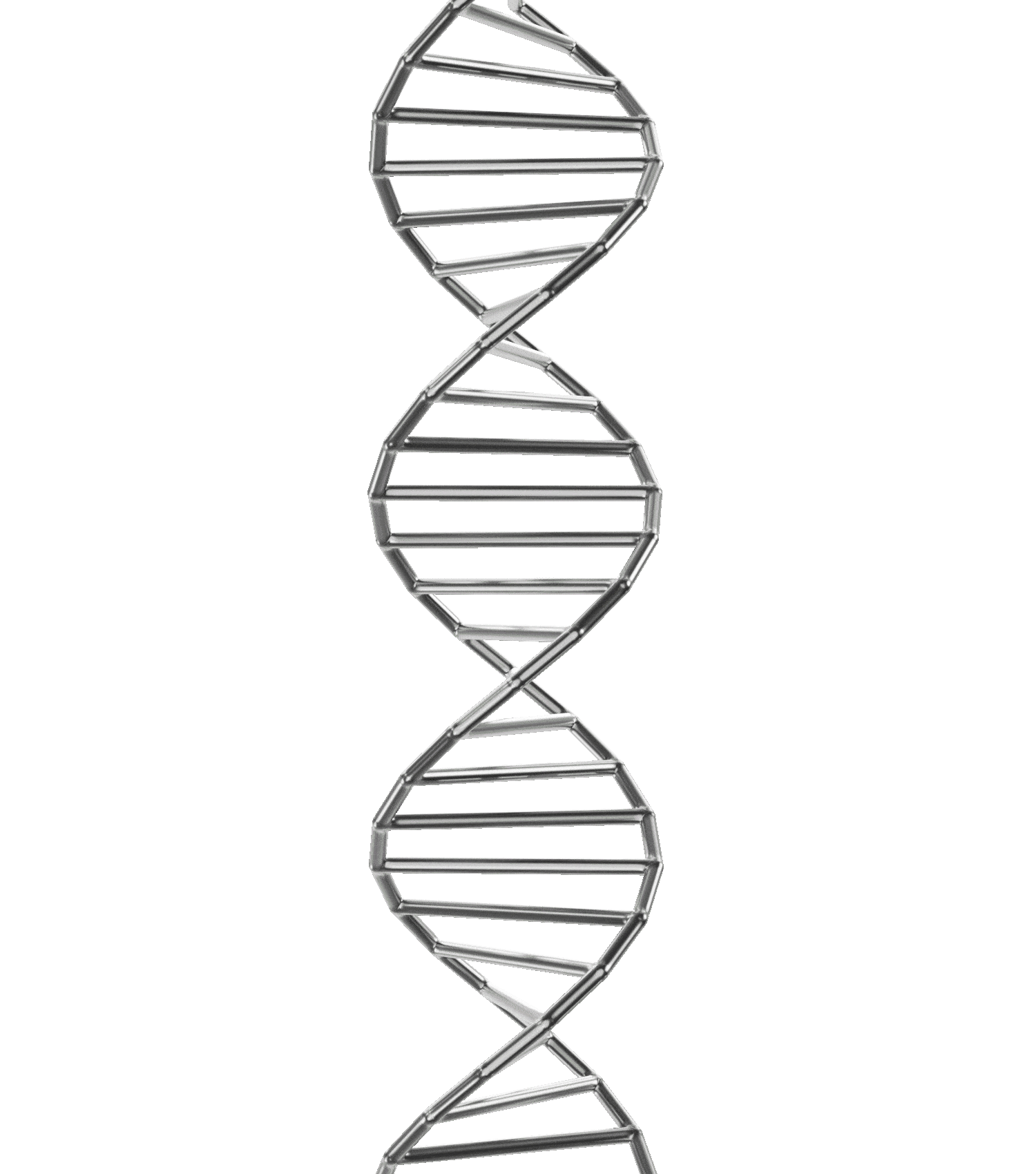 DNA helix